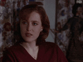 david duchovny agent mulder GIF by The X-Files