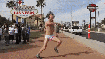 mightydavid funny gif lol memes GIF