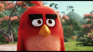mad ang GIF by Angry Birds