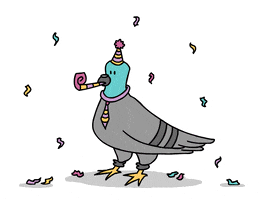 party pigeon GIF by Caroline Director