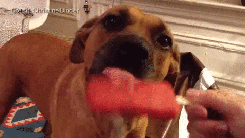 Licking Ice Cream GIF by Badass BK - Find & Share on GIPHY