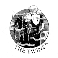 the twins horoscope GIF by Stephanie Davidson
