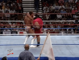 WWE GIF