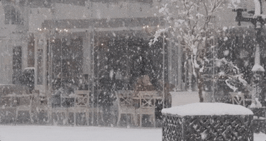 Video gif. It's snowing heavily and we see people inside a cafe eating.