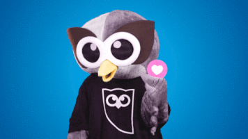 love you owl GIF by Hootsuite
