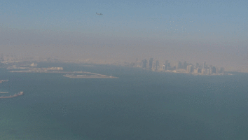 liliamfernandes  GIF