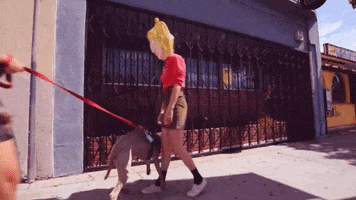 Fail Big Head GIF by Together Pangea