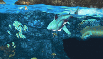 Sharks Ubisoft GIF by Hungry Shark Official Page