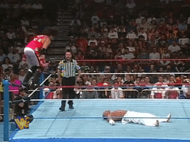 wwe sports wwe wrestling 1995 GIF