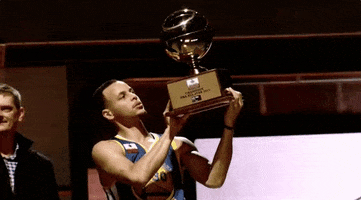 champion golden state warriors stephen curry champ steph curry GIF