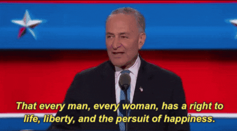 democratic national convention