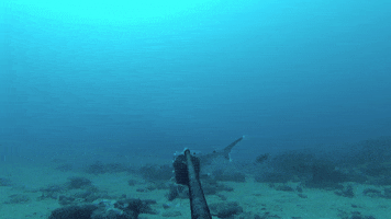 kloriatechinsiderio  GIF