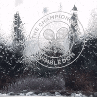 tennis GIF by Wimbledon