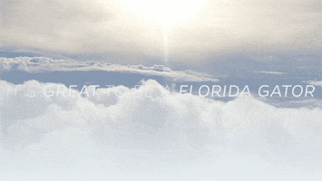 sky gator GIF by University of Florida