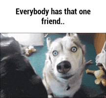 200.gif