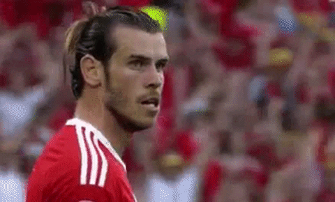 Euro 2016 Yes GIF - Find & Share on GIPHY