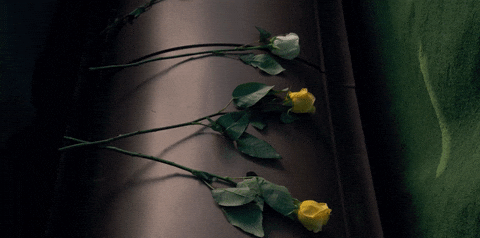  netflix season 1 stranger things roses funeral GIF