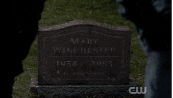 sandragonzalez  GIF