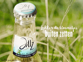 jillz elderflower-mint GIF by Jillz