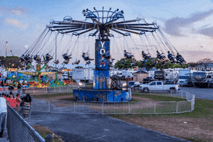 rolando  GIF