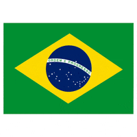Flag Brazil GIF by Latinoji