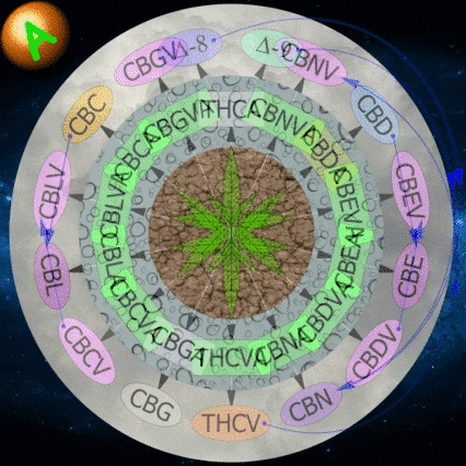 ronvanzetta cannabis medicine label vapor GIF