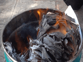 200.gif?cid=fc005b08b4be8c0ddb819b2b93e14e87678724b4641c8af9&rid=200.gif&ct=g