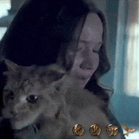 the hunger games film GIF by Lionsgate Home Entertainment