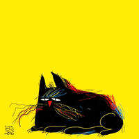Angry Cat GIF by Bahijjaroudi