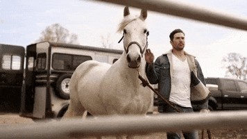 country music horses GIF by Clare Dunn