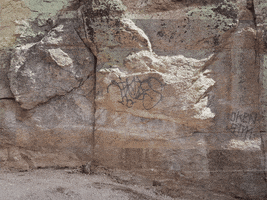 casaclimbersgmailcom #adoptacrag #rockclimbers #graffitiremoval #climberstewardship GIF