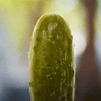 Food Lol GIF by Justin Gammon