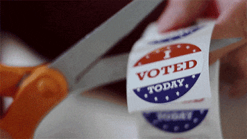 i voted voting rights GIF by SundanceNOW DocClub