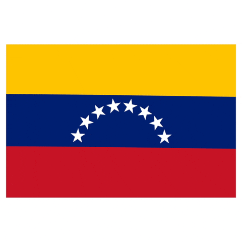 Flag Venezuela GIF by Latinoji