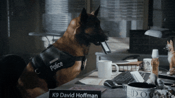 Fail Police Dog GIF by Angie Tribeca