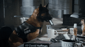 Fail Police Dog GIF by Angie Tribeca