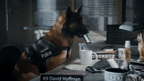 Fail Police Dog GIF by Angie Tribeca - Find & Share on GIPHY