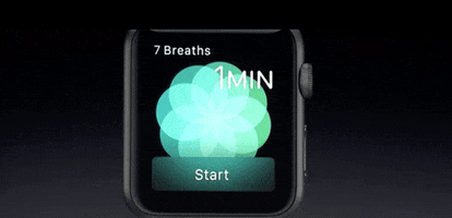 redletterdave apple breathe GIF