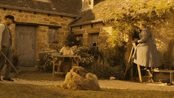 dat  GIF