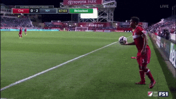 Chicago Fire Us Soccer Soul GIF