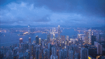 explore new york GIF by Celebrity Cruises Gifs