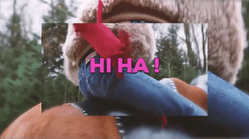 Cowboy Rodeo GIF