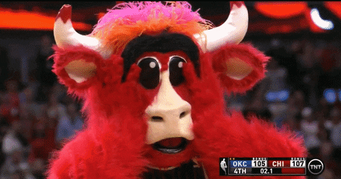 benny the bull omg GIF by Chicago Bulls