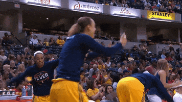 erica mccall basketball GIF by Indiana Fever