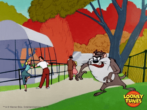 tumbleweed gif loony toons tumbleweed gif loony toons
