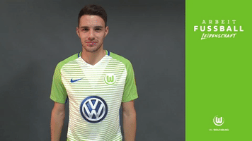 oh no wolves GIF by VfL Wolfsburg