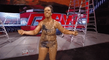 vickie guerrero wrestling GIF by WWE
