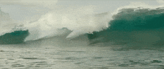 sony home ent GIF by The Shallows