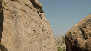 high five climbing GIF by Red Bull