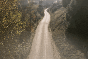 road 35mm GIF by Blanca Viñas